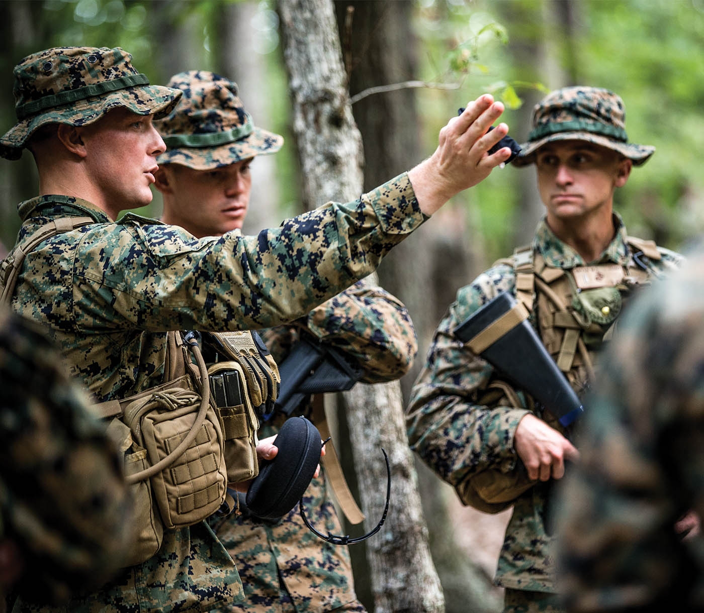 how-to-become-a-marine-biologist-in-the-us