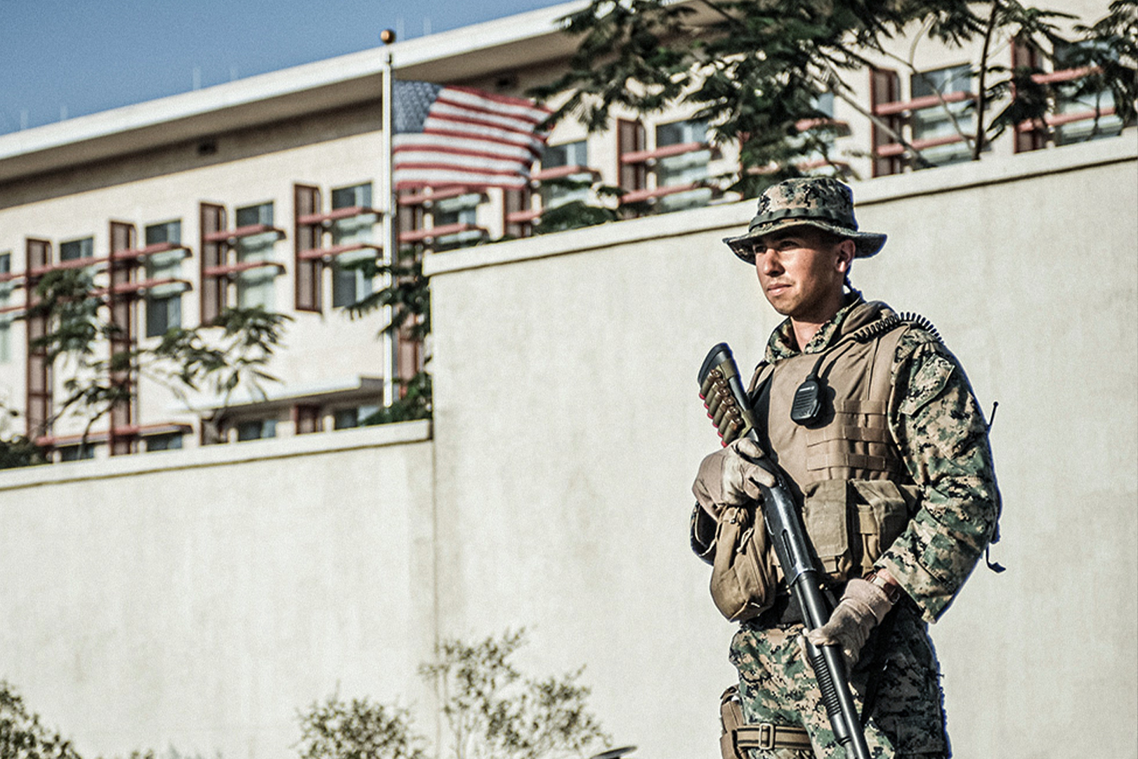 Elevate Your Abilities